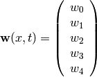 {\bf w}(x, t) = \left( \begin{array}{c}
    w_0 \\
    w_1 \\
    w_2 \\
    w_3 \\
    w_4 \\
\end{array} \right)