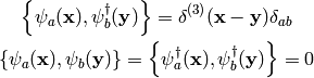 \left\{\psi_a({\bf x}), \psi_b^\dag({\bf y})\right\} =
    \delta^{(3)}({\bf x} - {\bf y}) \delta_{ab}

\left\{\psi_a({\bf x}), \psi_b({\bf y})\right\} =
\left\{\psi_a^\dag({\bf x}), \psi_b^\dag({\bf y})\right\} =
0