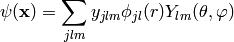 \psi({\bf x})=\sum_{jlm}y_{jlm}\phi_{jl}(r)Y_{lm}(\theta, \varphi)