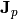 {\bf J}_p