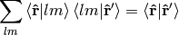 \sum_{lm}\braket{{\bf\hat r}|lm}\braket{lm|{\bf\hat r'}}= \braket{{\bf\hat r}|{\bf\hat r'}}